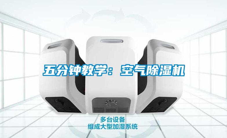 五分鍾教學：空氣91看片在线下载機