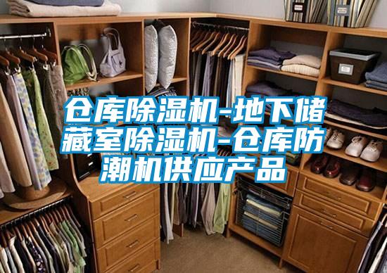 倉庫91看片在线下载機-地下儲藏室91看片在线下载機-倉庫防潮機供應產品