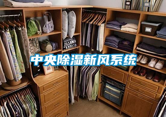 中央91看片在线下载新風係統