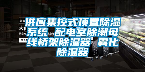 供應集控式頂置91看片在线下载係統 配電室除潮母線橋架91看片在线下载器 霧化91看片在线下载器