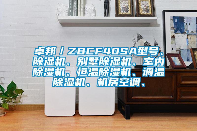 卓邦／ZBCF40SA型號、91看片在线下载機、別墅91看片在线下载機、室內91看片在线下载機、恒溫91看片在线下载機、調溫91看片在线下载機、機房空調、