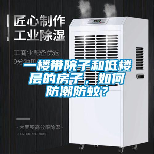 一樓帶院子和低樓層的房子，如何防潮防蚊？