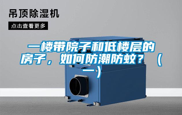 一樓帶院子和低樓層的房子，如何防潮防蚊？（一）