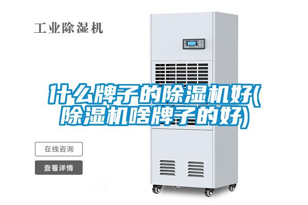 什麽牌子的91看片在线下载機好(91看片在线下载機啥牌子的好)