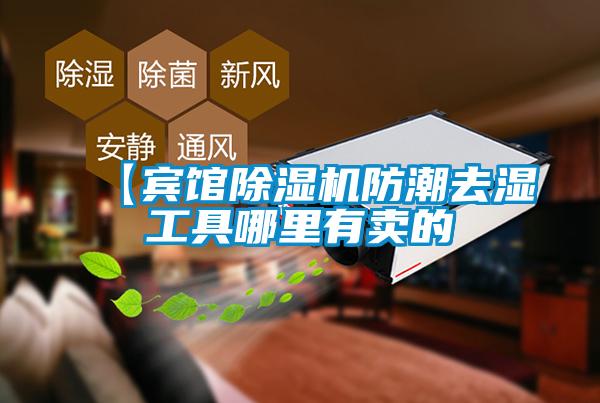 【賓館91看片在线下载機防潮去濕工具哪裏有賣的