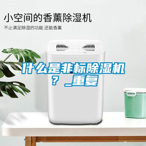 什麽是非標91看片在线下载機？_重複