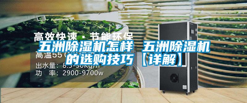 五洲91看片在线下载機怎樣 五洲91看片在线下载機的選購技巧【詳解】