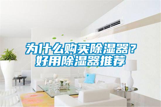 為什麽購買91看片在线下载器？好用91看片在线下载器推薦