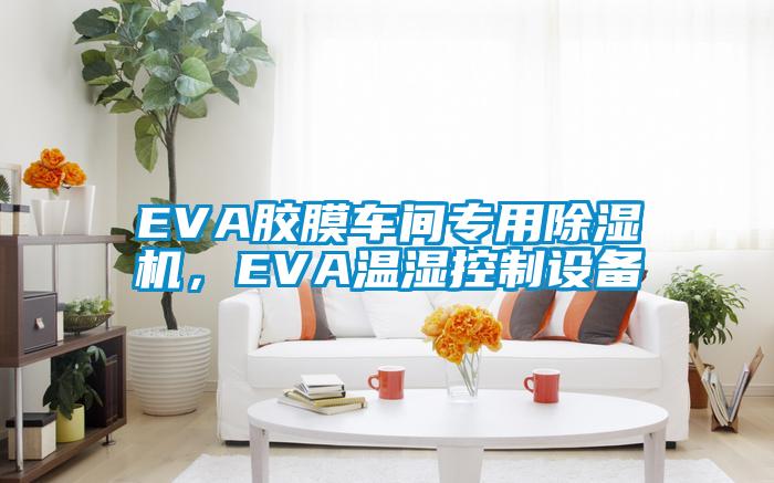 EVA膠膜車間專用91看片在线下载機，EVA溫濕控製設備