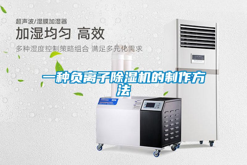 一種負離子91看片在线下载機的製作方法