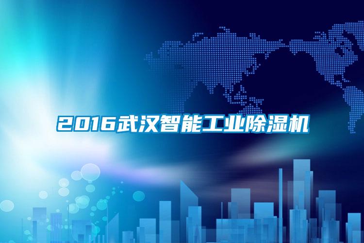2016武漢智能工業91看片在线下载機