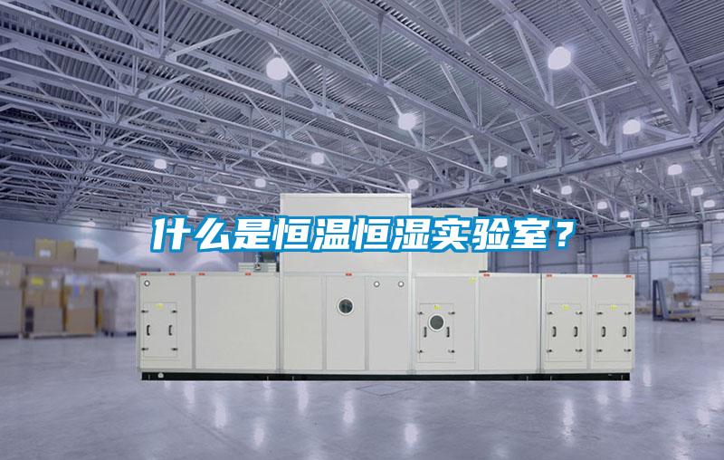 什麽是恒溫恒濕實驗室？