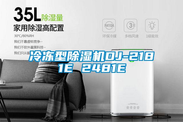 冷凍型91看片在线下载機DJ-2181E 2481E