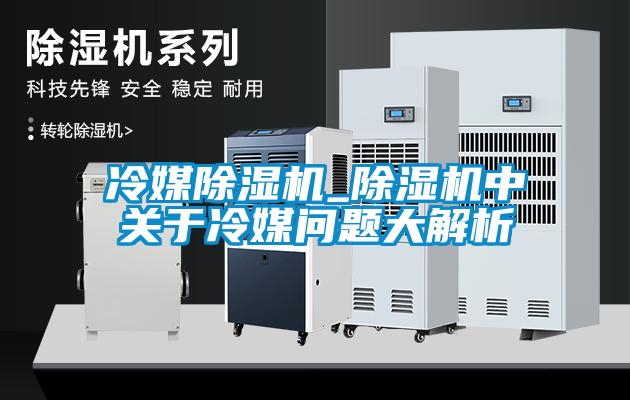 冷媒91看片在线下载機_91看片在线下载機中關於冷媒問題大解析