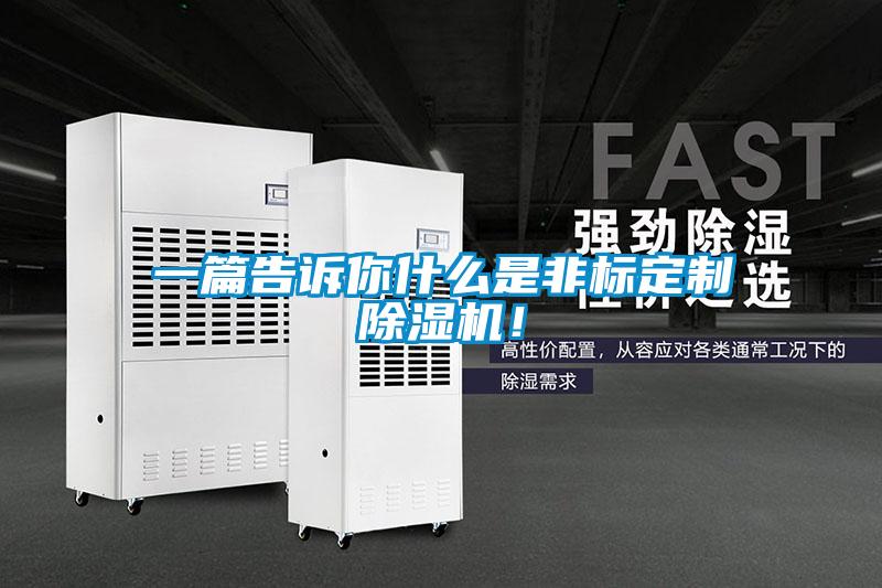 一篇告訴你什麽是非標定製91看片在线下载機！