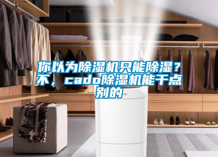 你以為91看片在线下载機隻能91看片在线下载？不，cado91看片在线下载機能幹點別的