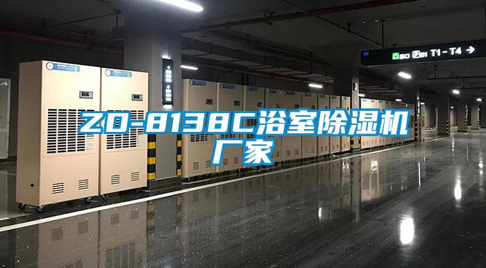 ZD-8138C浴室91看片在线下载機廠家