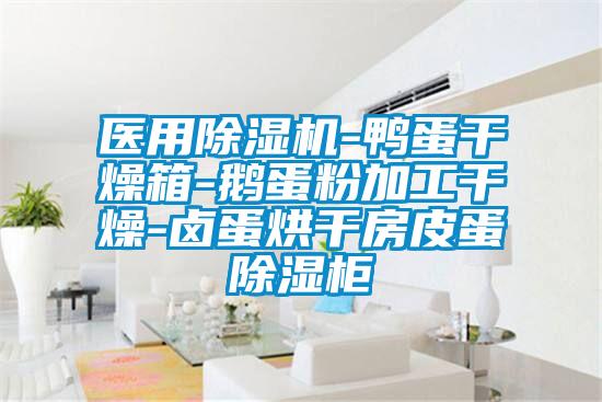 醫用91看片在线下载機-鴨蛋幹燥箱-鵝蛋粉加工幹燥-鹵蛋烘幹房皮蛋91看片在线下载櫃