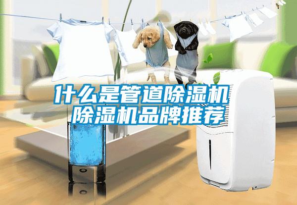 什麽是管道91看片在线下载機 91看片在线下载機品牌推薦