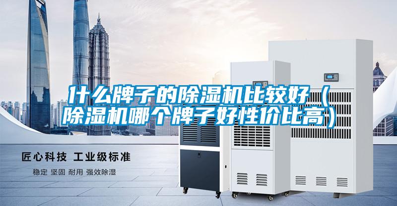 什麽牌子的91看片在线下载機比較好（91看片在线下载機哪個牌子好性價比高）