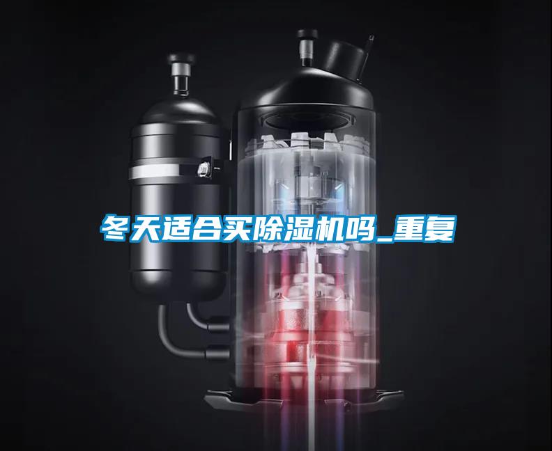 冬天適合買91看片在线下载機嗎_重複