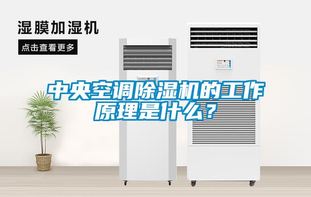 中央空調91看片在线下载機的工作原理是什麽？