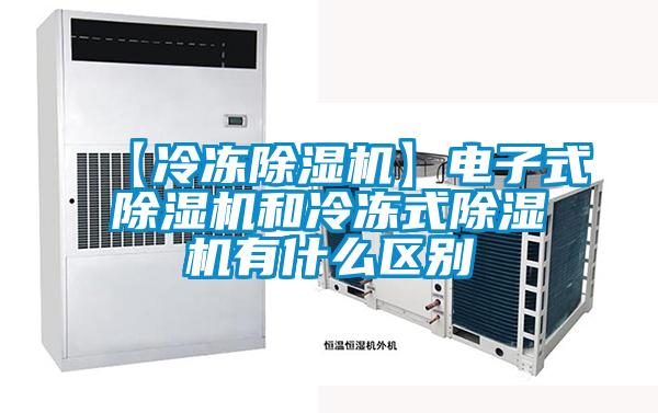 【冷凍91看片在线下载機】電子式91看片在线下载機和冷凍式91看片在线下载機有什麽區別