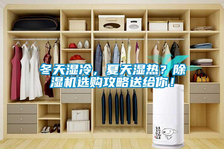 冬天濕冷，夏天濕熱？91看片在线下载機選購攻略送給你！