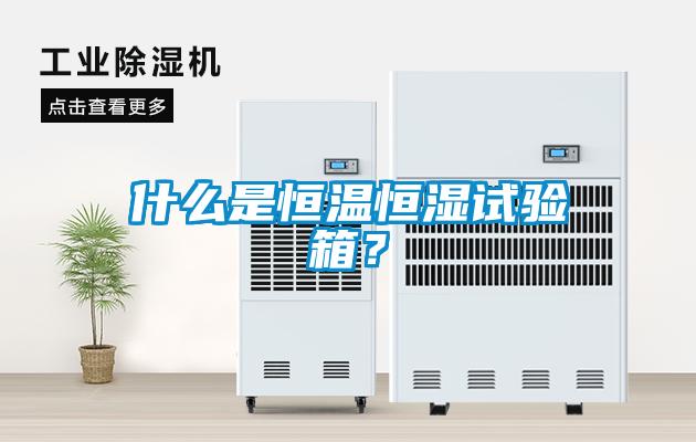 什麽是恒溫恒濕試驗箱？
