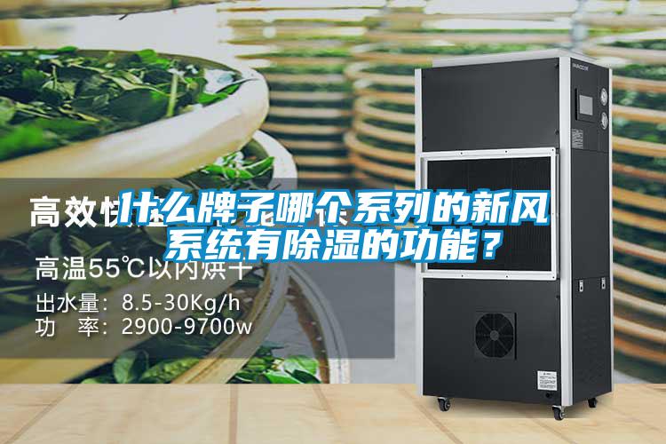 什麽牌子哪個係列的新風係統有91看片在线下载的功能？
