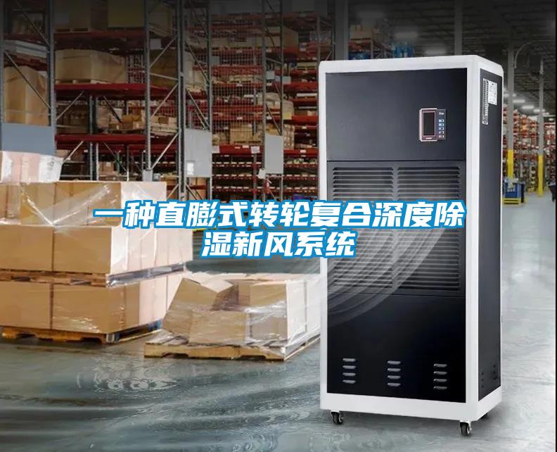 一種直膨式轉輪複合深度91看片在线下载新風係統