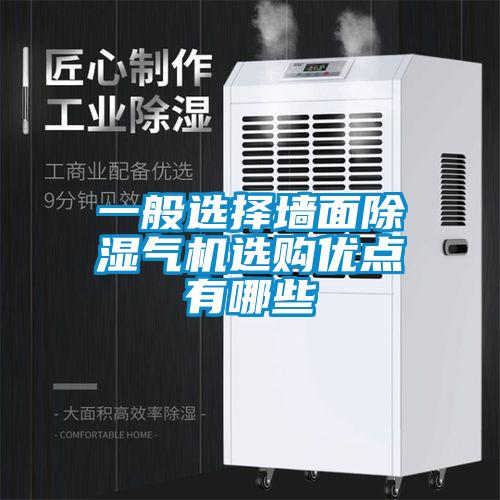 一般選擇牆麵91看片在线下载氣機選購優點有哪些
