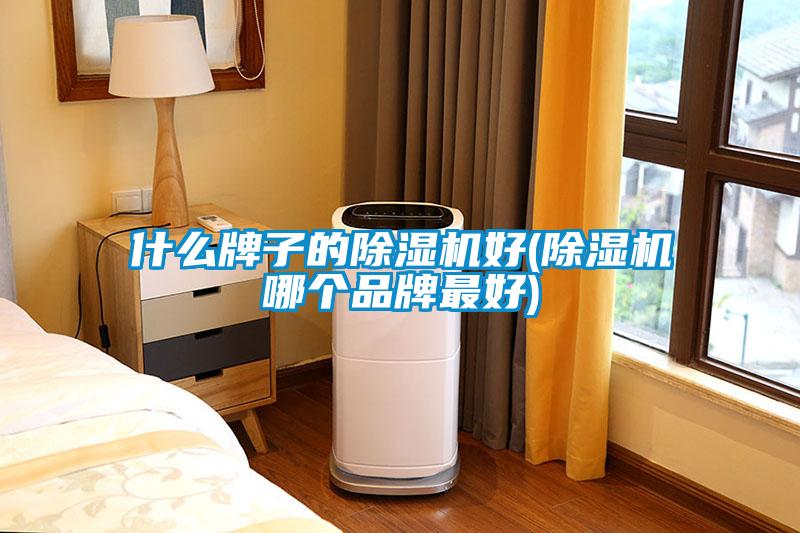 什麽牌子的91看片在线下载機好(91看片在线下载機哪個品牌最好)