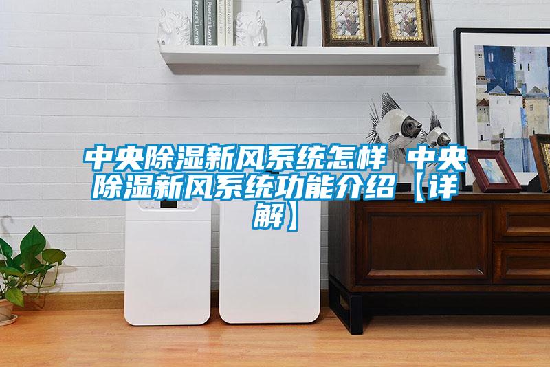 中央91看片在线下载新風係統怎樣 中央91看片在线下载新風係統功能介紹【詳解】