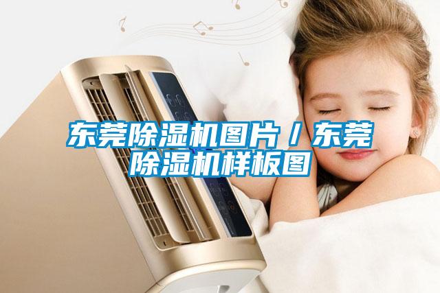 東莞91看片在线下载機圖片／東莞91看片在线下载機樣板圖