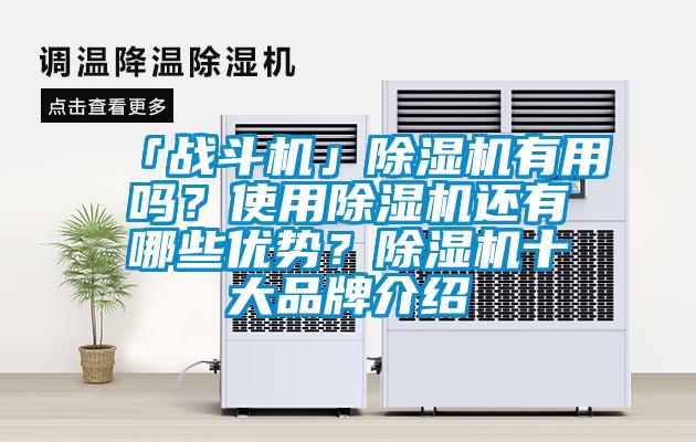 「戰鬥機」91看片在线下载機有用嗎？使用91看片在线下载機還有哪些優勢？91看片在线下载機十大品牌介紹
