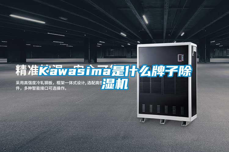 Kawasima是什麽牌子91看片在线下载機