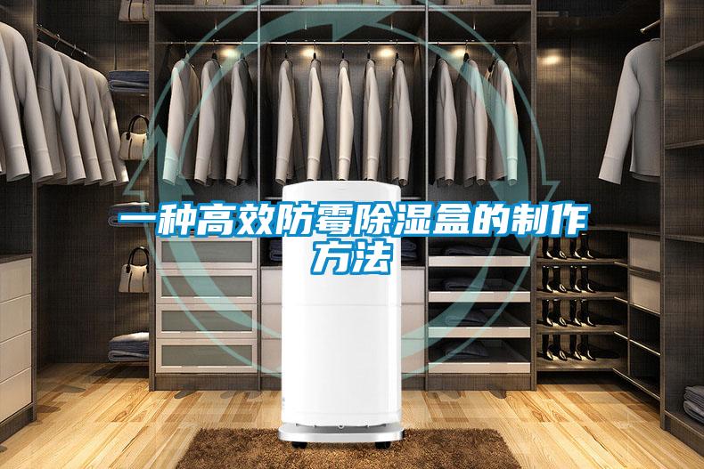 一種高效防黴91看片在线下载盒的製作方法