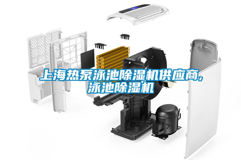 上海熱泵泳池91看片在线下载機供應商,泳池91看片在线下载機
