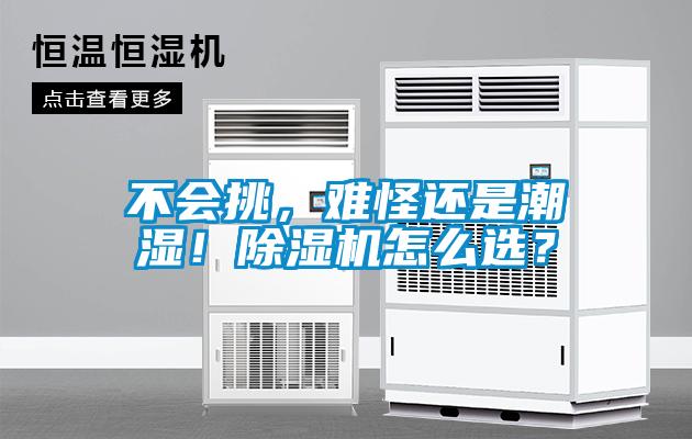 不會挑，難怪還是潮濕！91看片在线下载機怎麽選？
