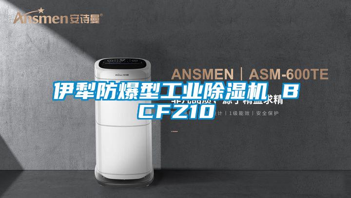伊犁防爆型工業91看片在线下载機 BCFZ10