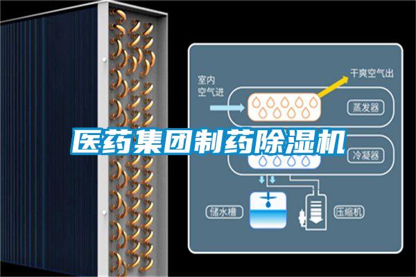 醫藥集團製藥91看片在线下载機