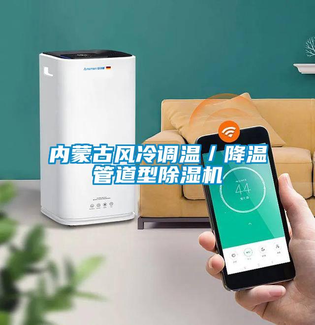 內蒙古風冷調溫／降溫管道型91看片在线下载機