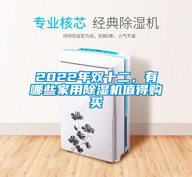2022年雙十二，有哪些家用91看片在线下载機值得購買