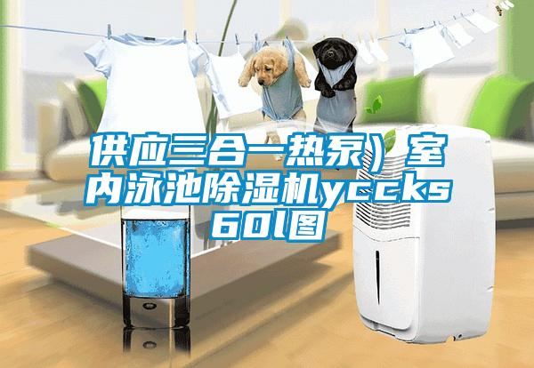 供應三合一熱泵）室內泳池91看片在线下载機yccks60l圖