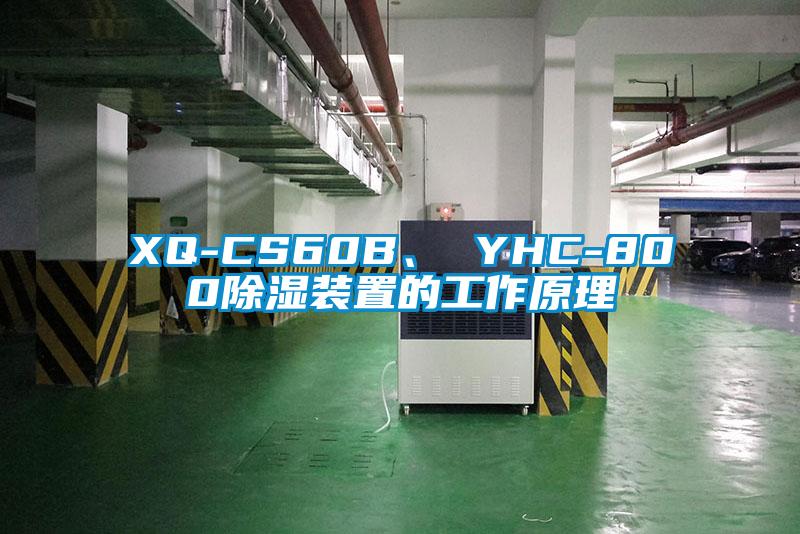 XQ-CS60B、 YHC-80091看片在线下载裝置的工作原理
