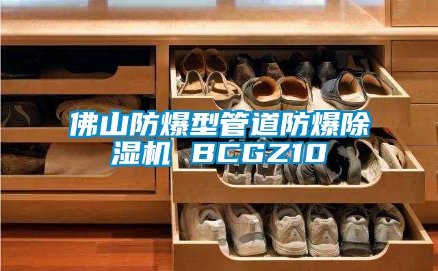 佛山防爆型管道防爆91看片在线下载機 BCGZ10