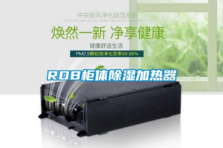 RDB櫃體91看片在线下载加熱器