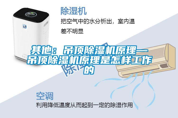 其他：吊頂91看片在线下载機原理—吊頂91看片在线下载機原理是怎樣工作的