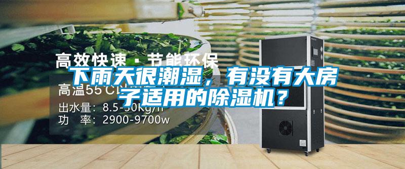 下雨天很潮濕，有沒有大房子適用的91看片在线下载機？